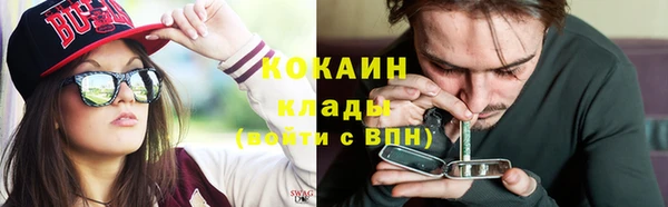 эйфоретик Бородино