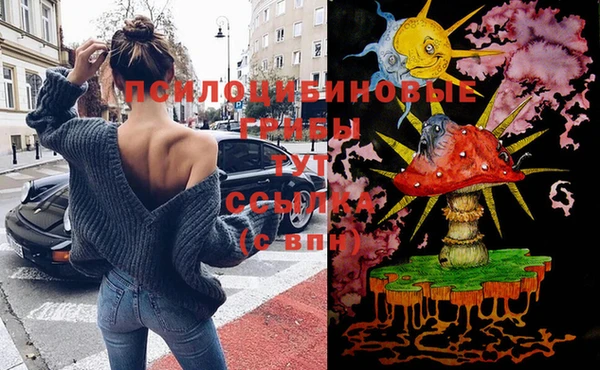 соль курить ск Верхний Тагил